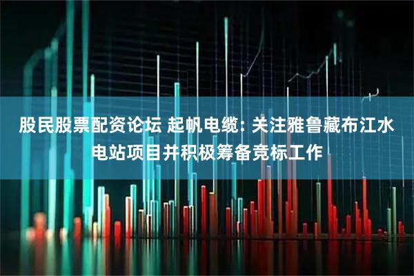 股民股票配资论坛 起帆电缆: 关注雅鲁藏布江水电站项目并积极筹备竞标工作