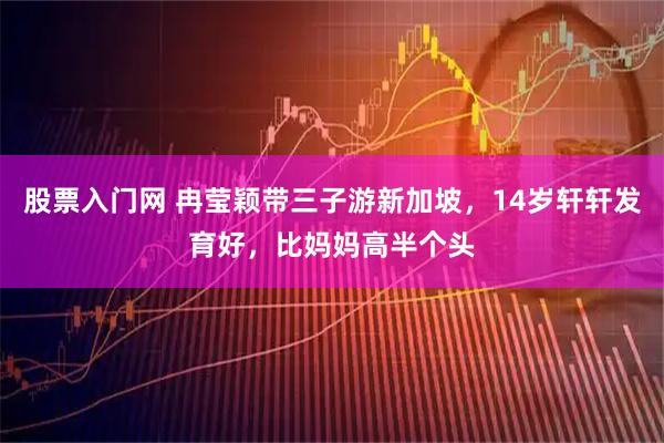 股票入门网 冉莹颖带三子游新加坡，14岁轩轩发育好，比妈妈高半个头
